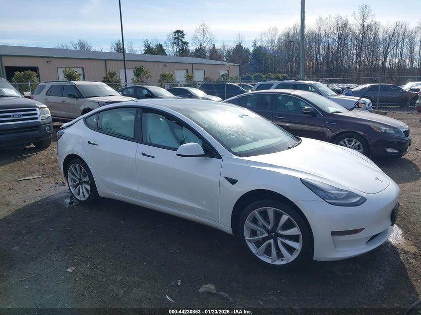 2019 Tesla Model 3
