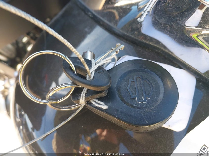 2020 Harley-Davidson Flhtcutg VIN: 1HD1MAF15LB855038 Lot: 44231538