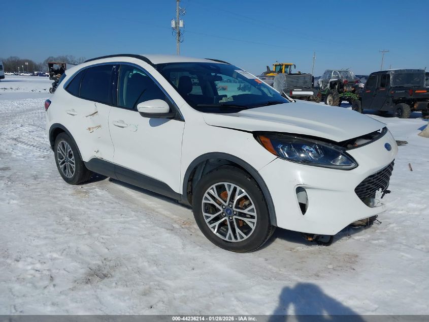 2020 Ford Escape Sel