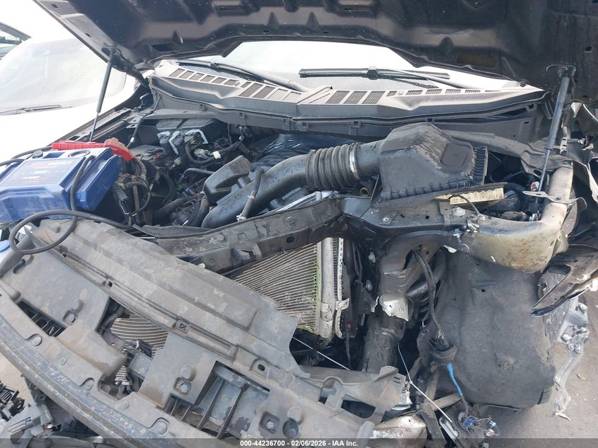 VIN 1FTMF1L52RKF23521 2024 FORD F-150 XL