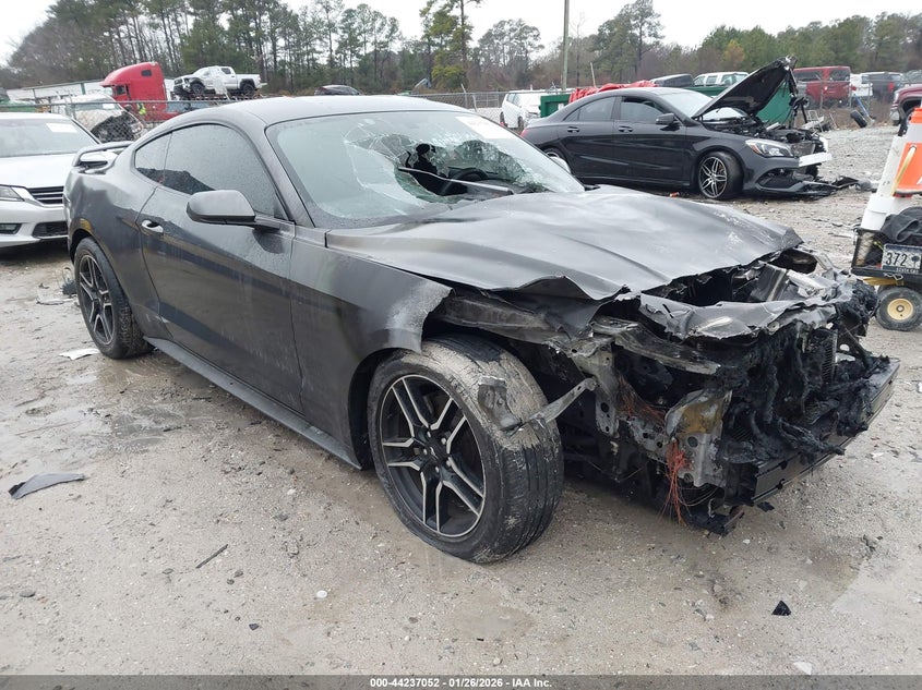 2019 Ford Mustang Ecoboost