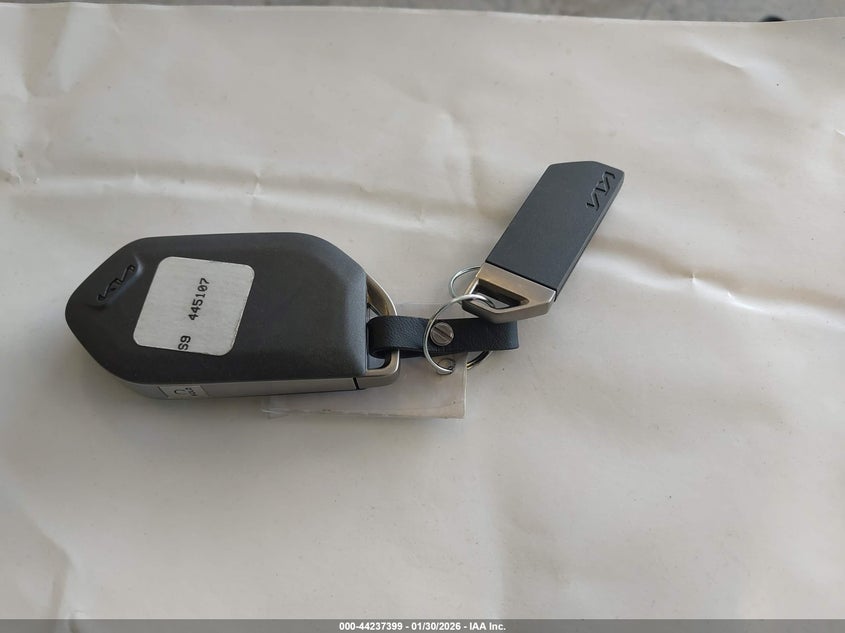 VIN 5XYP5DGC7RG445107 2024 KIA TELLURIDE SX PRESTIGE X-PRO