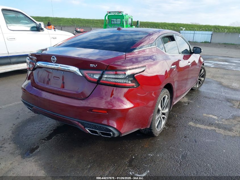 2019 NISSAN MAXIMA 3.5 SV