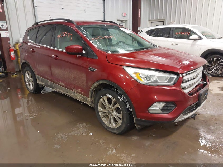 2019 Ford Escape Sel