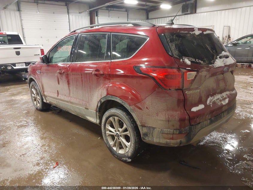 2019 Ford Escape Sel