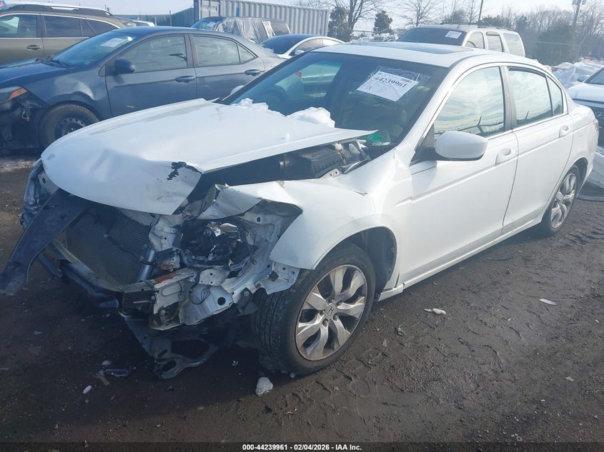 2010 Honda Accord 2.4 Ex-L