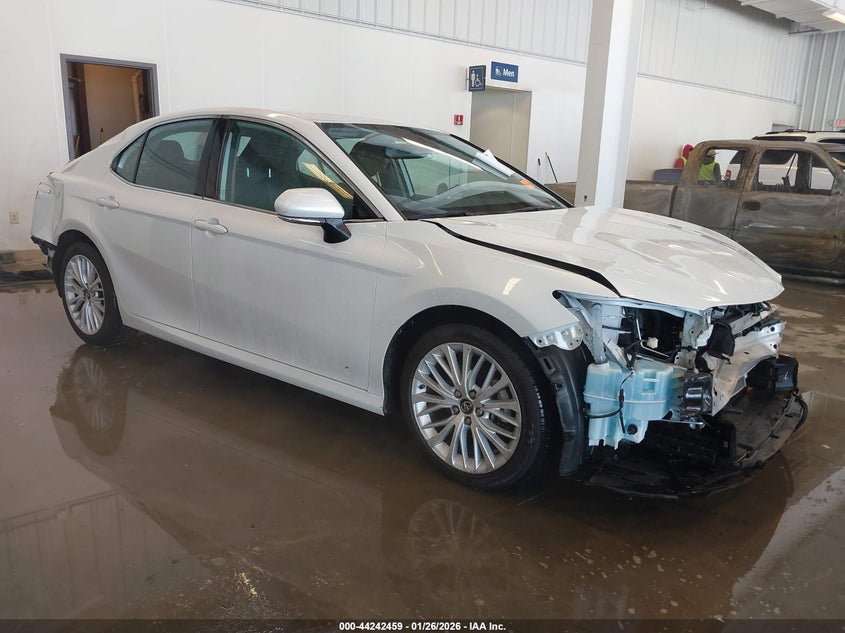 2019 Toyota Camry Xle