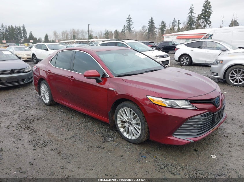2019 Toyota Camry Hybrid Xle