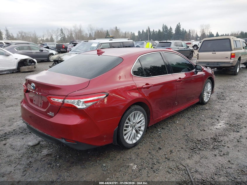 2019 Toyota Camry Hybrid Xle