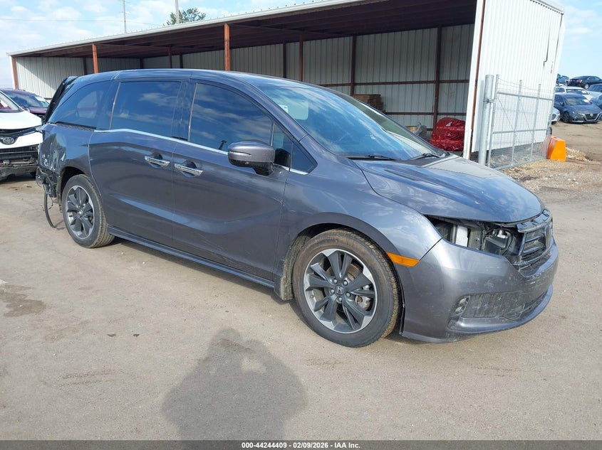 2023 Honda Odyssey Elite
