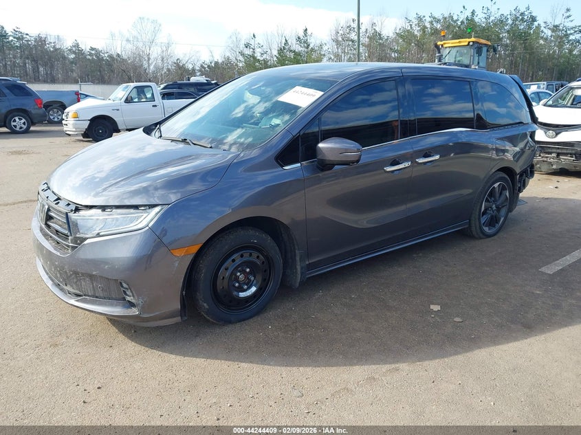2023 Honda Odyssey Elite