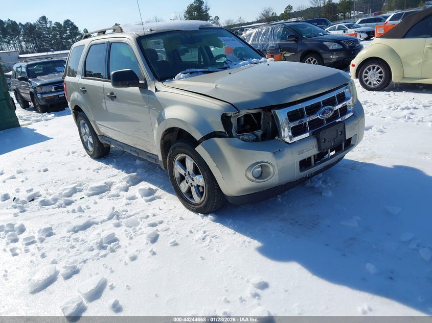 2010 Ford Escape Xlt