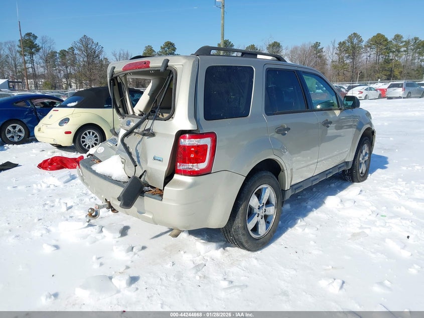 2010 Ford Escape Xlt
