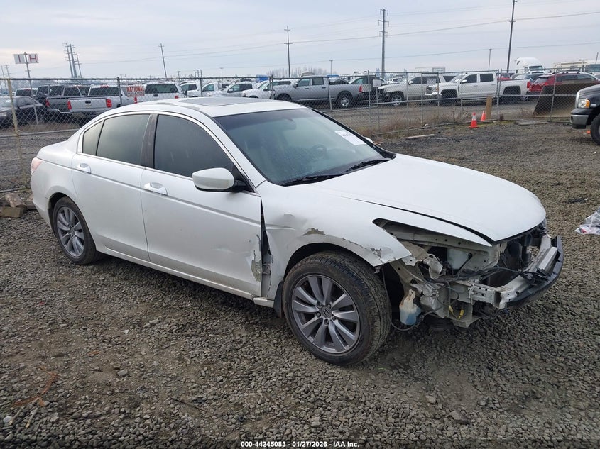 2011 Honda Accord 3.5 Ex-L