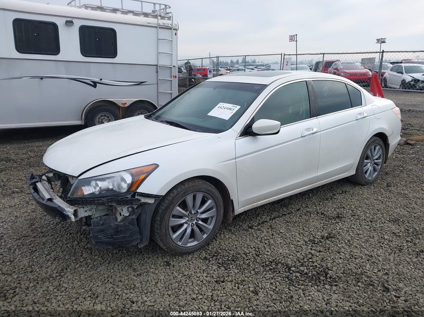 2011 Honda Accord 3.5 Ex-L