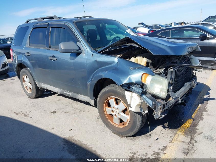 2010 Ford Escape Xlt