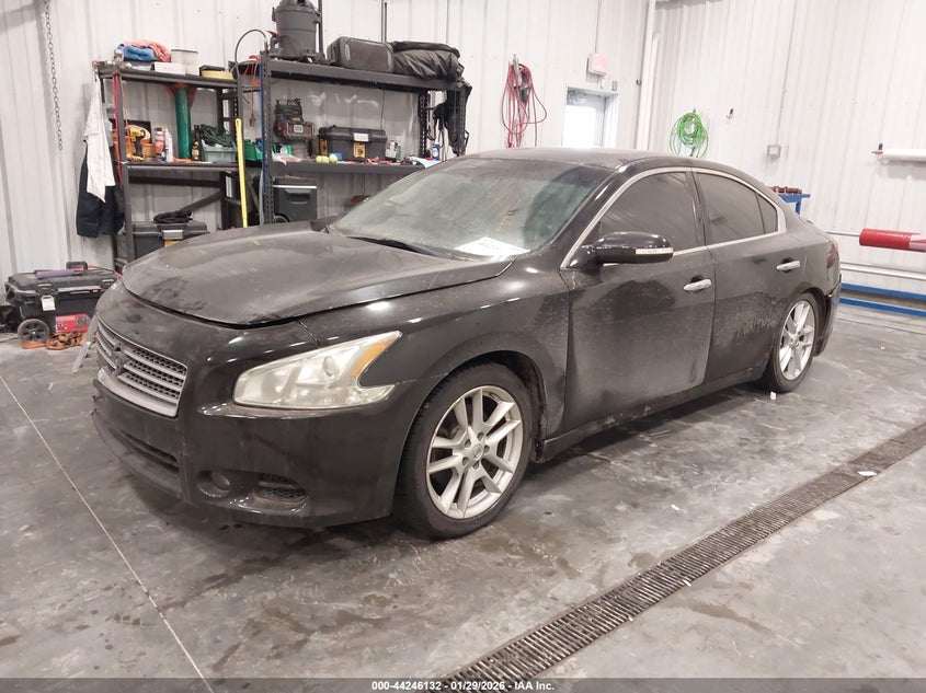 2011 Nissan Maxima 3.5 Sv