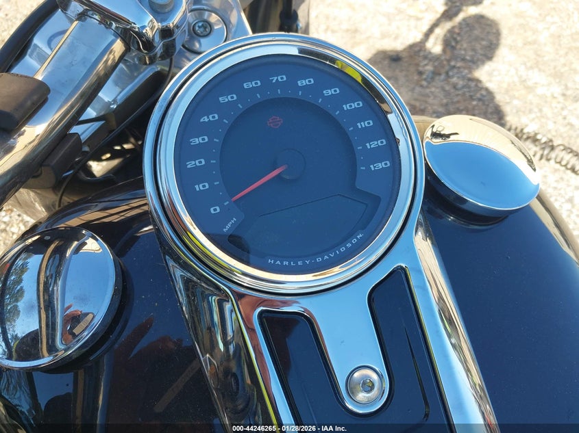 2021 Harley-Davidson Flfbs VIN: 1HD1YGK19MB067443 Lot: 44246265