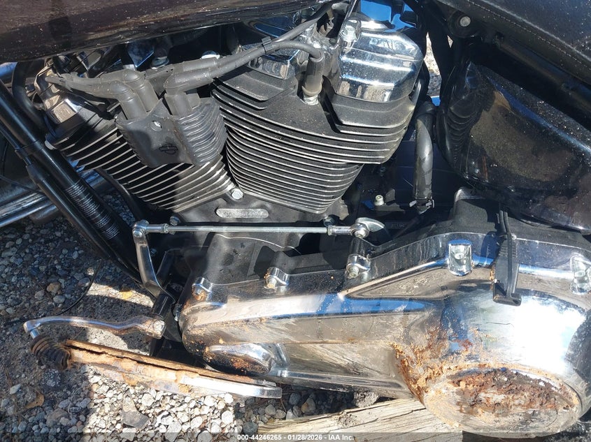2021 Harley-Davidson Flfbs VIN: 1HD1YGK19MB067443 Lot: 44246265