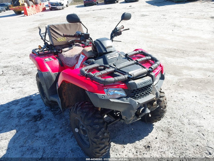 1HFTE3936K4500548 HONDA TRX420 Photo 1