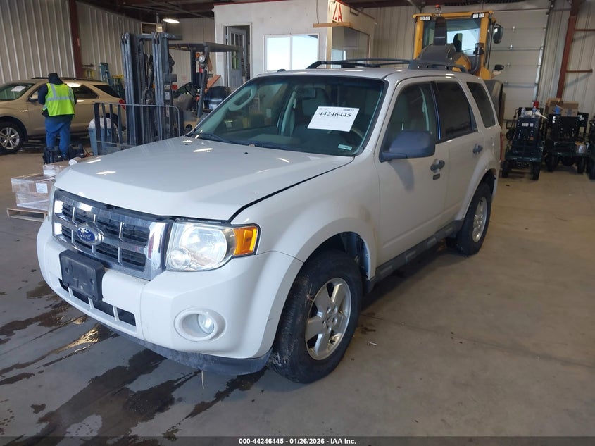2010 Ford Escape Xlt