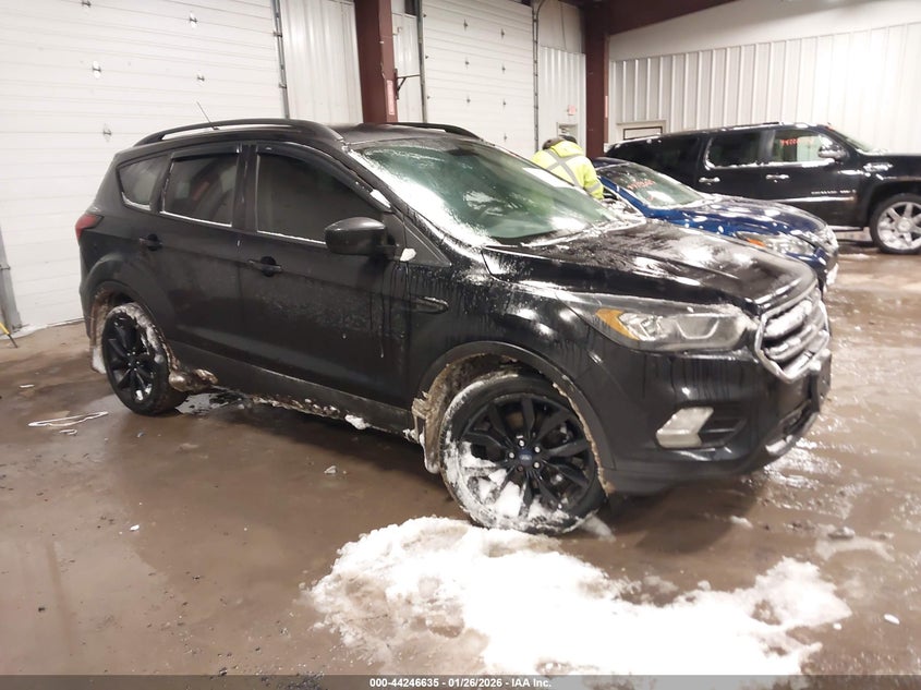 2019 Ford Escape Se
