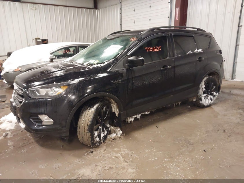2019 Ford Escape Se