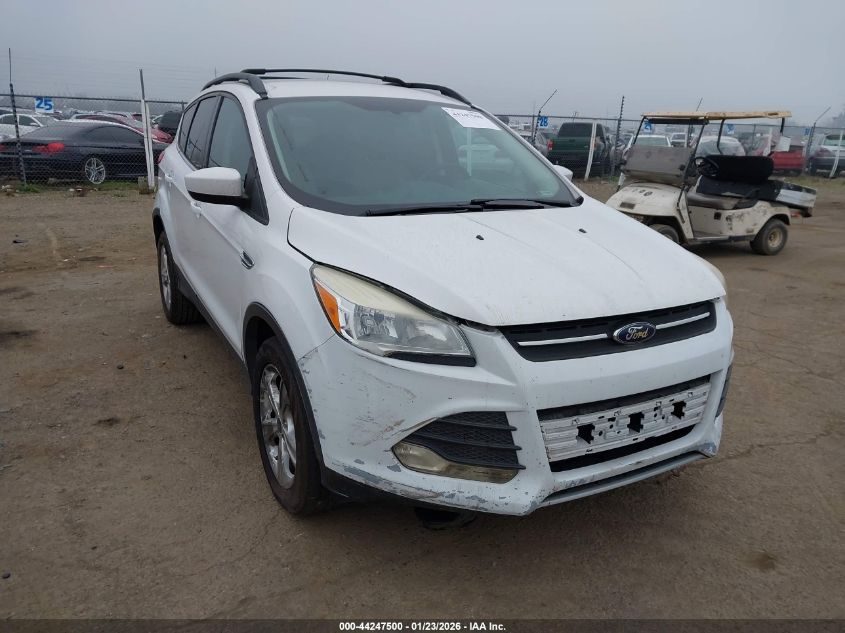 2013 Ford Escape