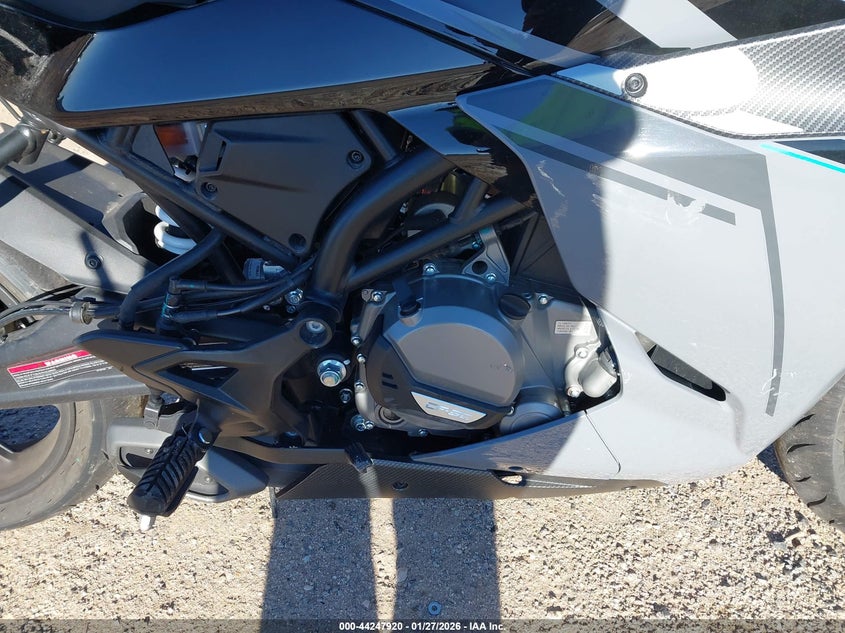 VIN: LCEPDPL32P6001045 2023 CF MOTO 300SS