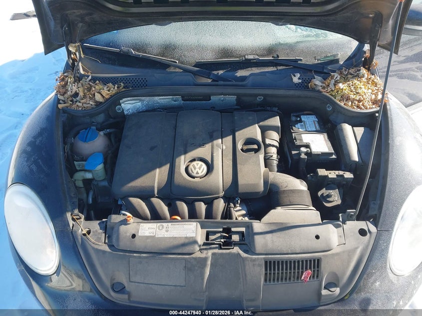 2012 Volkswagen Beetle 2.5L VIN: 3VWJP7AT4CM623346 Lot: 44247940