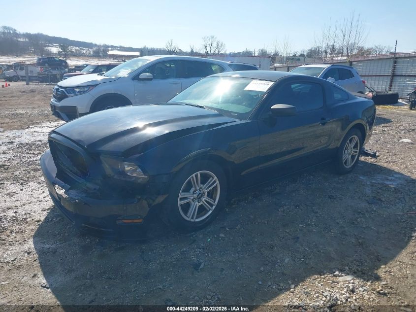 2014 Ford Mustang V6