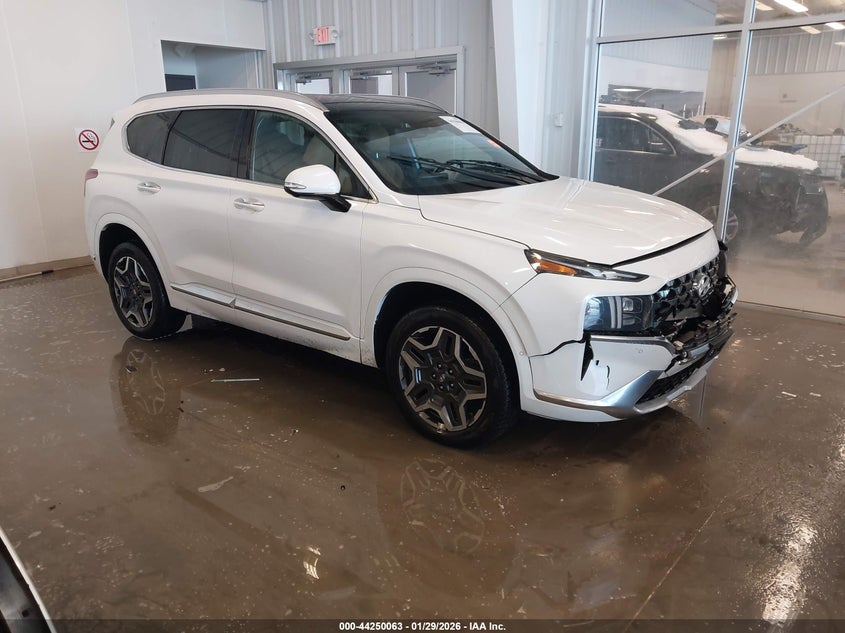 2021 Hyundai Santa Fe Calligraphy
