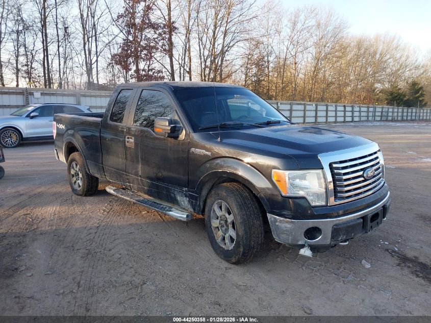 2010 Ford F-150 Xlt