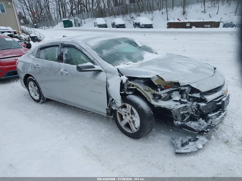 2019 Chevrolet Malibu 1Ls