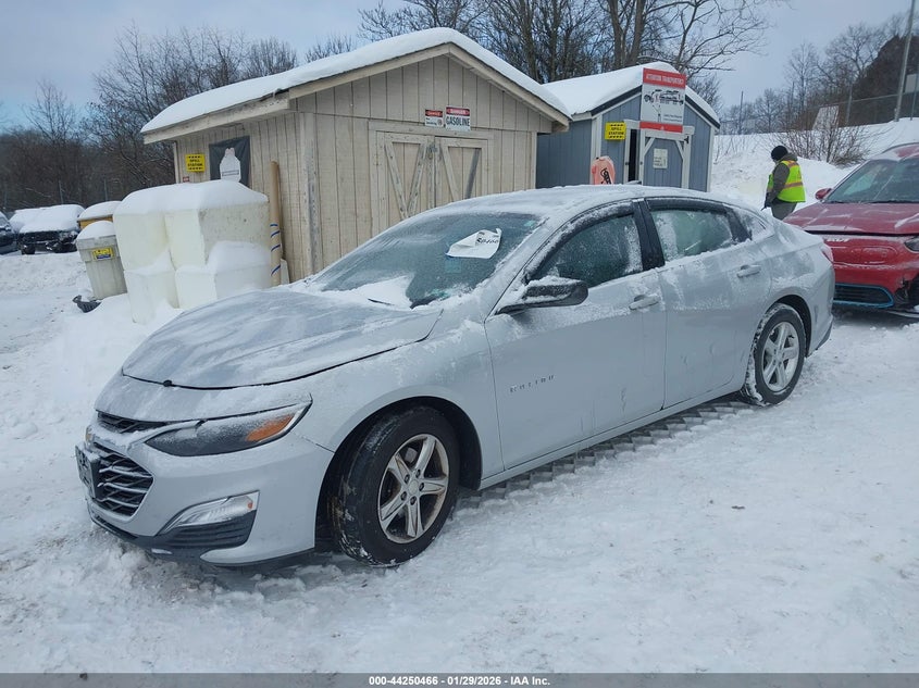 2019 Chevrolet Malibu 1Ls