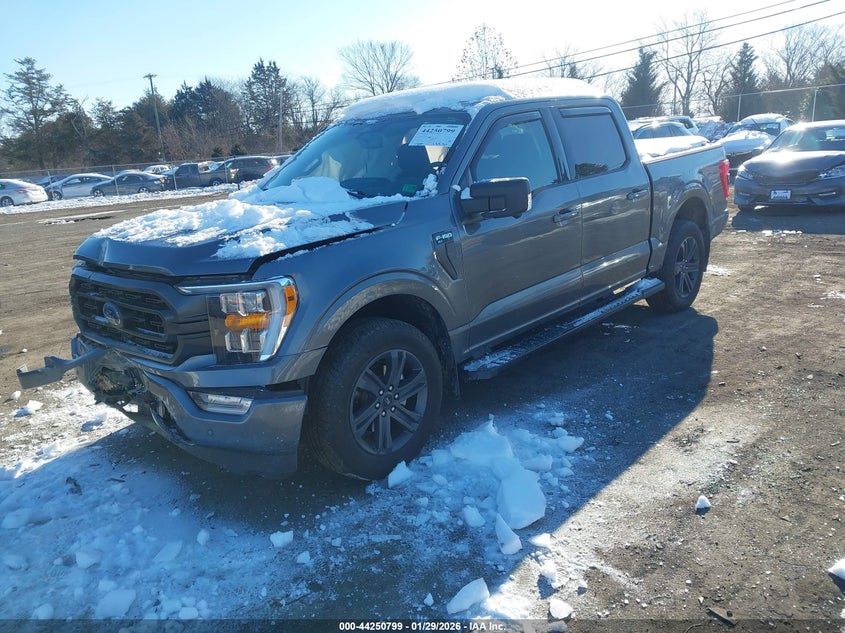 2023 Ford F-150 Xlt
