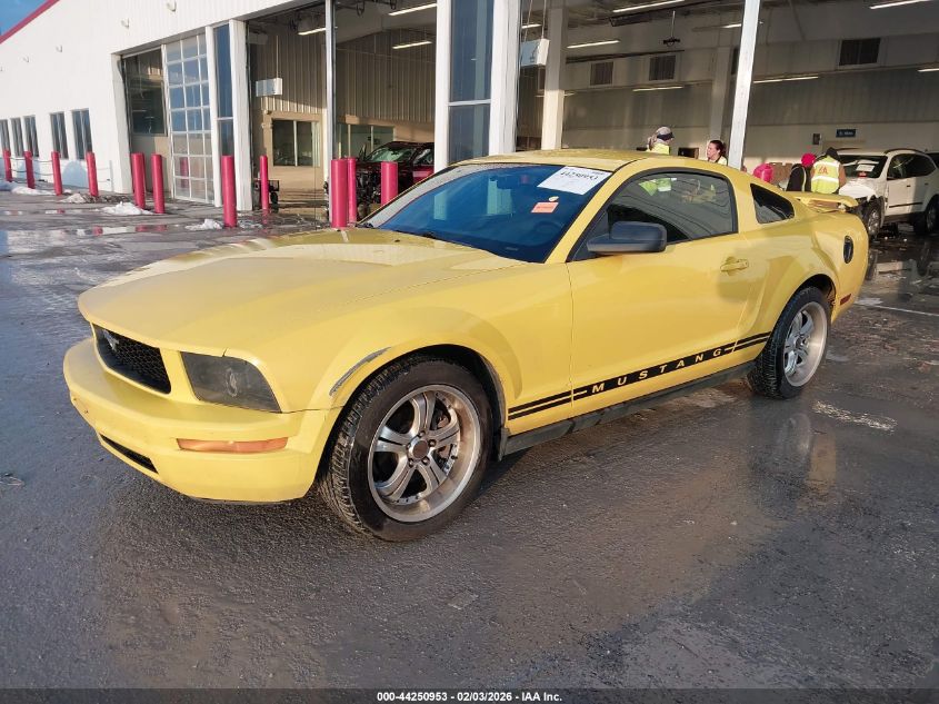 2005 Ford Mustang V6 Deluxe/V6 Premium