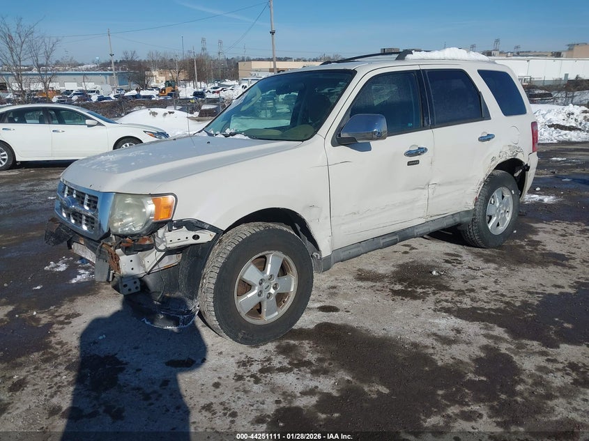 2009 Ford Escape Xlt