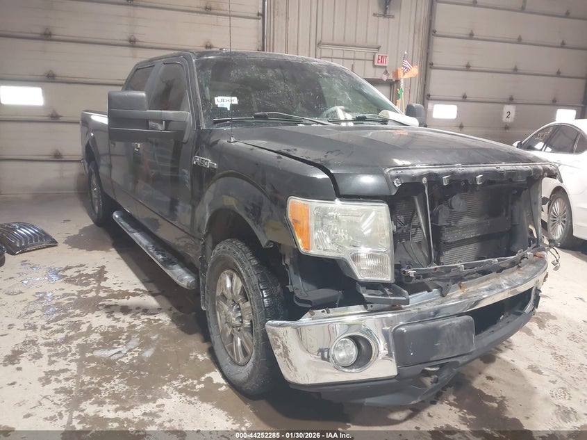 2010 Ford F-150 Fx4/Harley-Davidson/King Ranch/Lariat/Platinum/Xl/Xlt