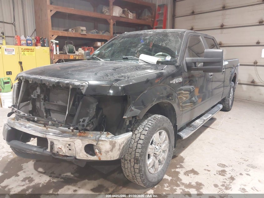 2010 Ford F-150 Fx4/Harley-Davidson/King Ranch/Lariat/Platinum/Xl/Xlt