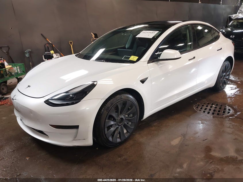2023 Tesla Model 3 Rear-Wheel Drive