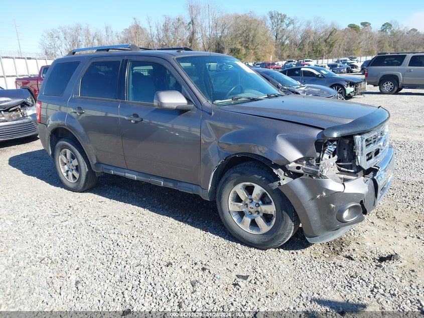 2011 Ford Escape Limited