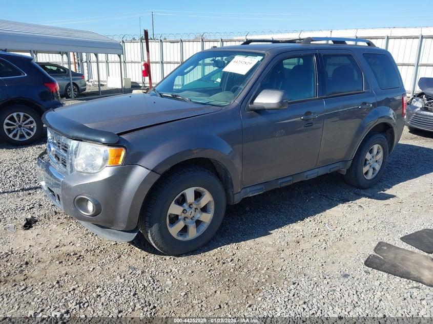 2011 Ford Escape Limited