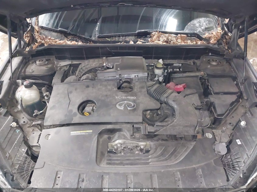 2019 Infiniti Qx50 Essential/Luxe/Pure VIN: 3PCAJ5M31KF124480 Lot: 44253107