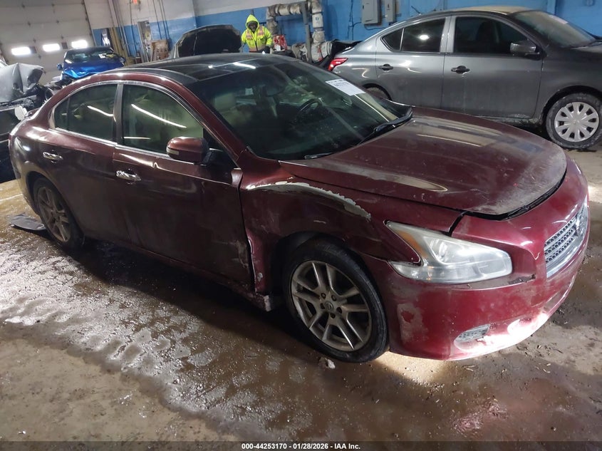 2009 Nissan Maxima 3.5 Sv