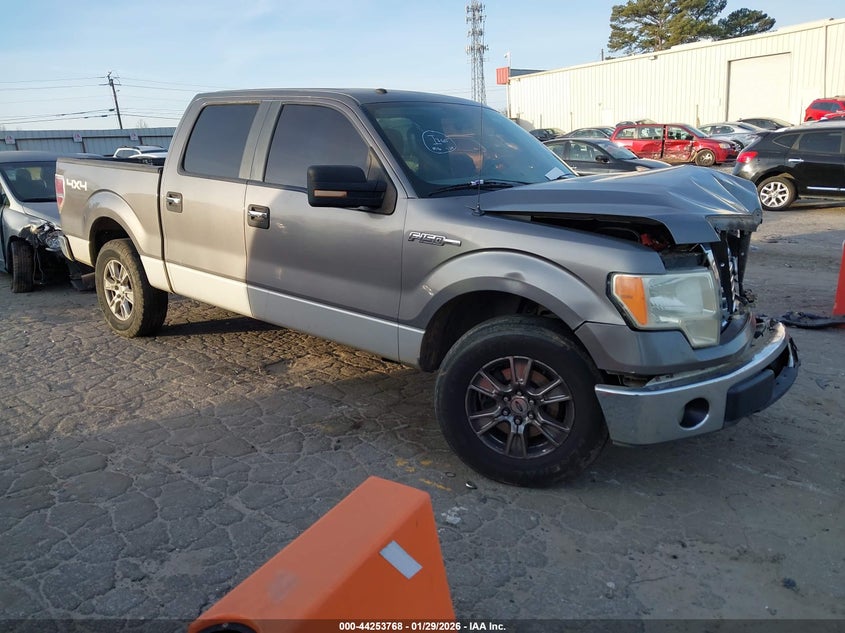 2010 Ford F-150 Fx4/Harley-Davidson/King Ranch/Lariat/Platinum/Xl/Xlt