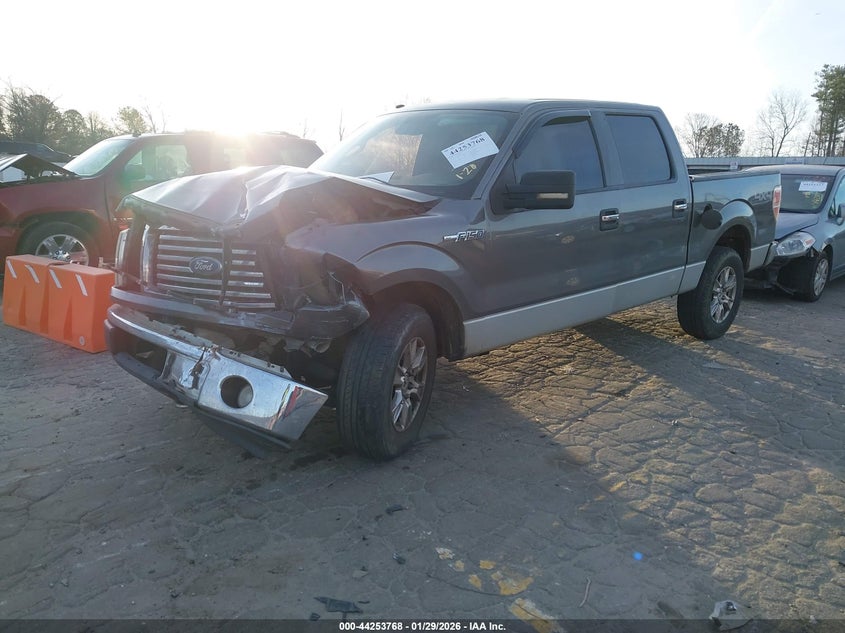 2010 Ford F-150 Fx4/Harley-Davidson/King Ranch/Lariat/Platinum/Xl/Xlt