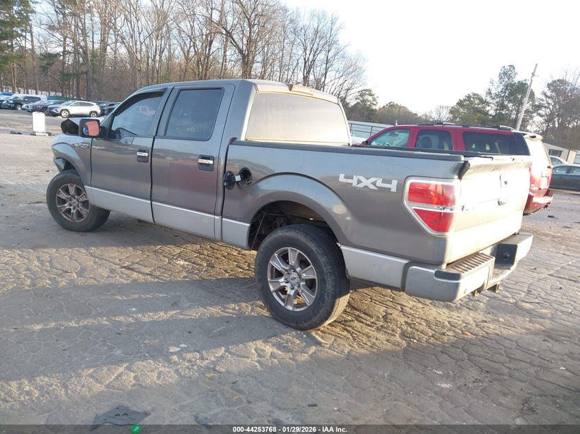 2010 Ford F-150 Fx4/Harley-Davidson/King Ranch/Lariat/Platinum/Xl/Xlt