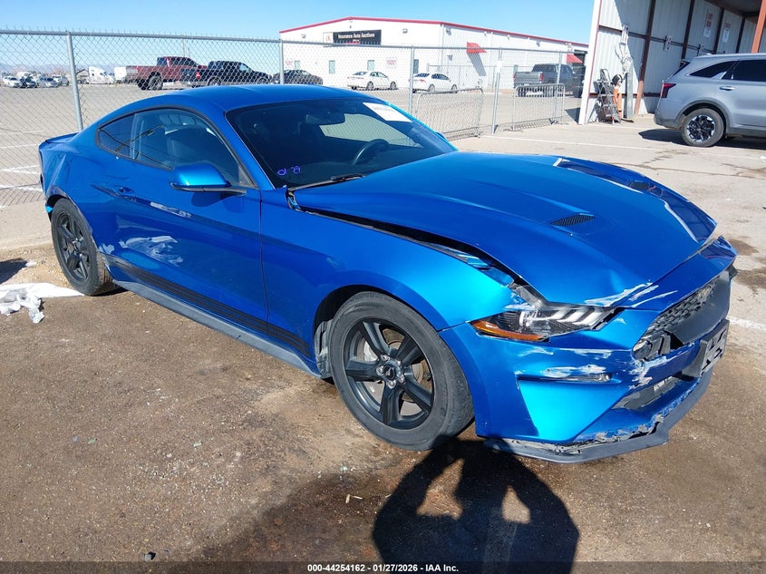 2019 Ford Mustang Ecoboost