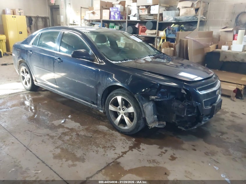 CHEVROLET MALIBU 1LT